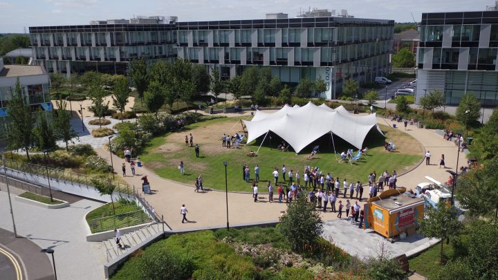 event gathering at the park