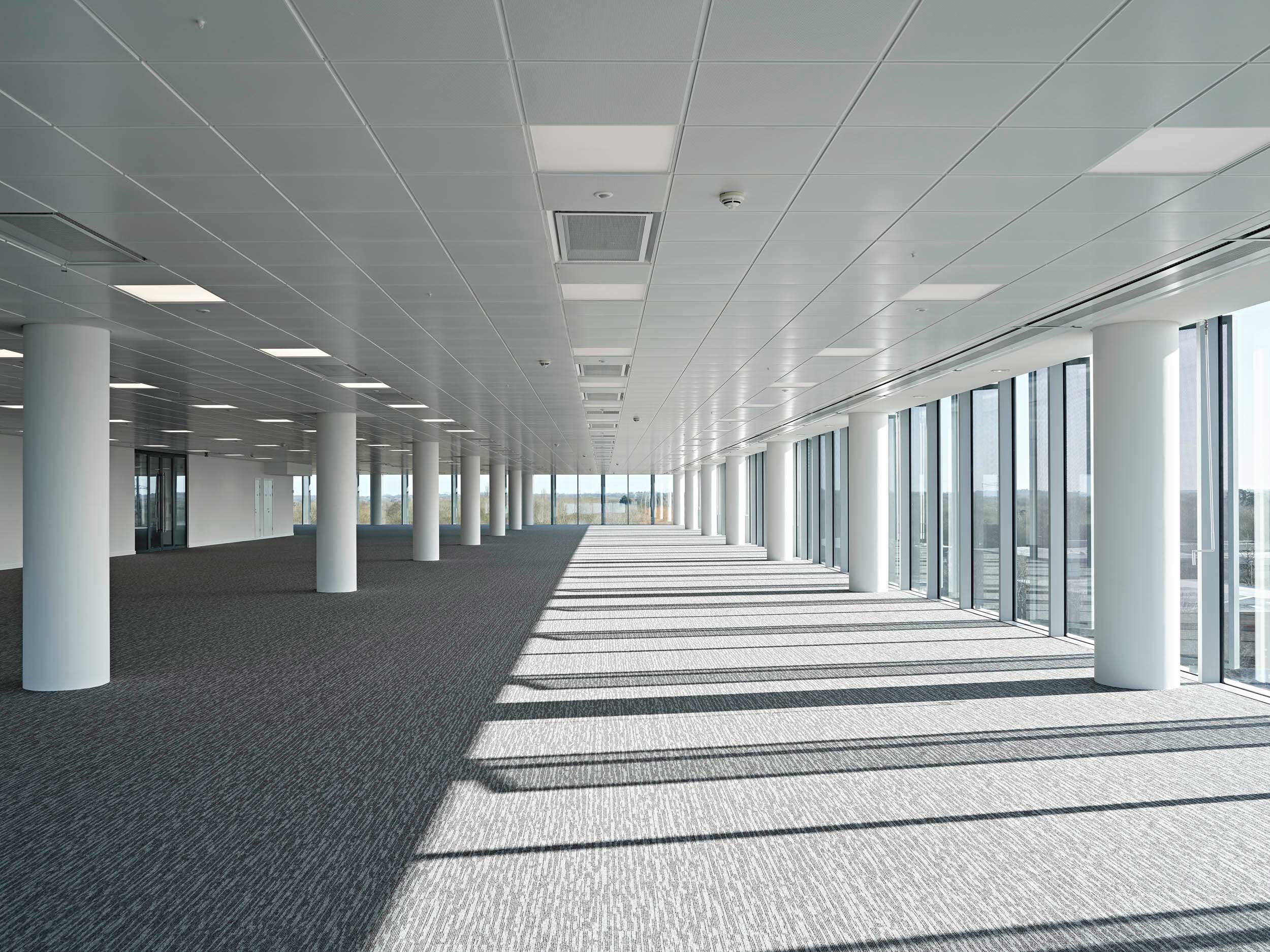 Empty modern office space with carpeted floor, white columns, and large windows letting in sunlight.