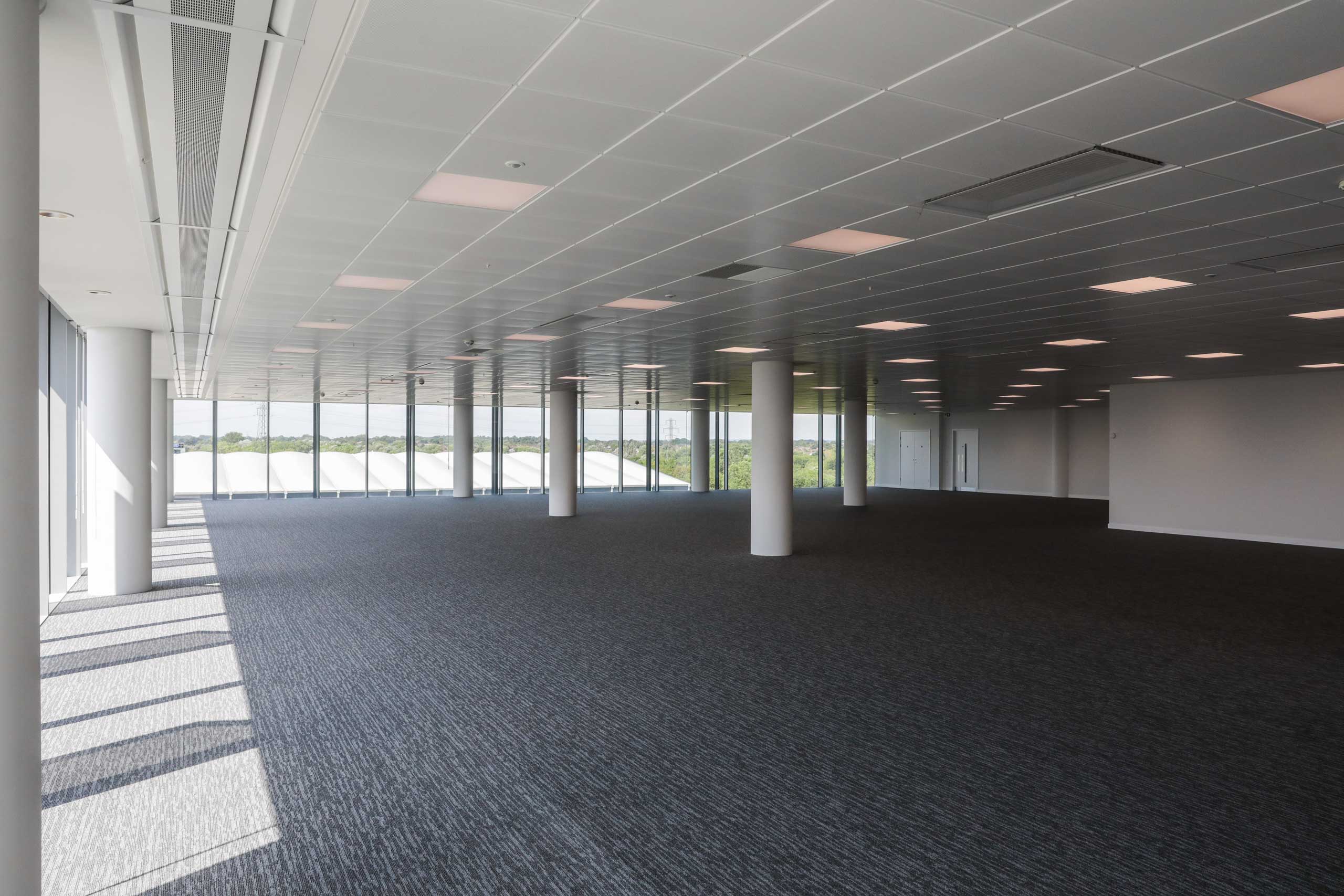 Large empty office space with carpeted floor, white pillars, ceiling panels, and large windows.