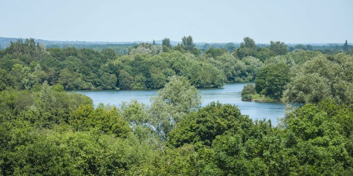dinton pastures