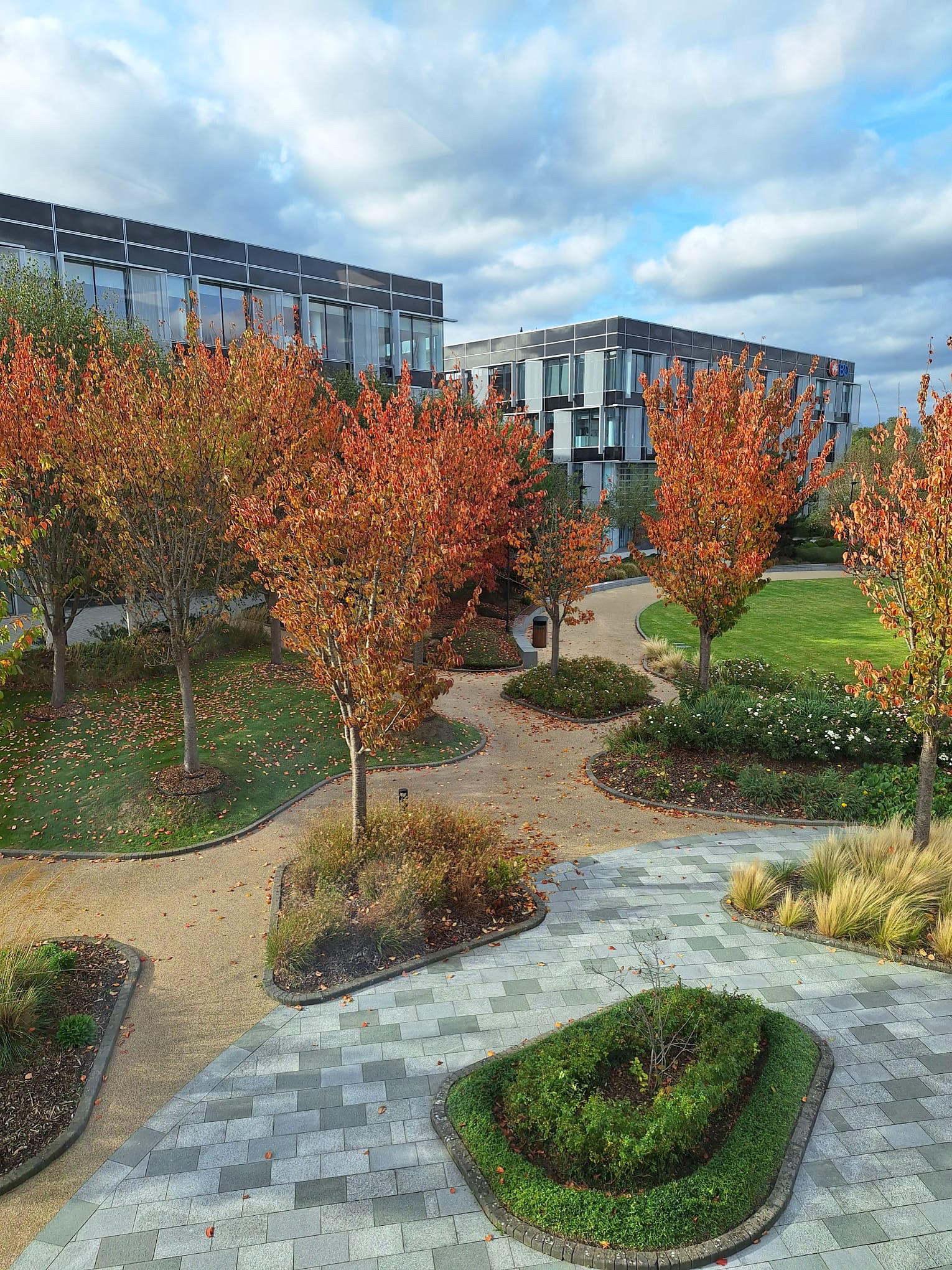 Modern office buildings with large windows behind a landscaped courtyard featuring paths, green grass, and trees with orange autumn leaves under a partly cloudy sky.