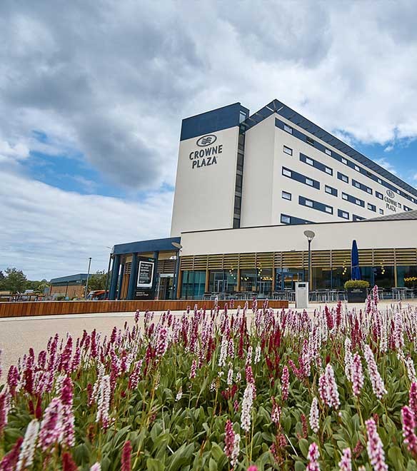A multi-storey Crowne Plaza hotel building with large windows, a sign on the facade, and a flowerbed with pink and white flowers in the foreground.