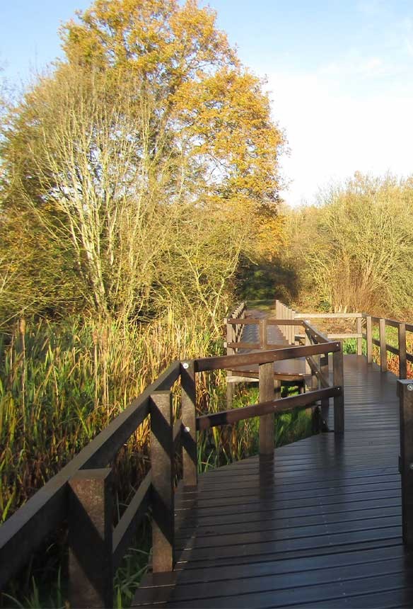 A wooden walkway with railings extends through tall grasses and trees in a natural outdoor setting under a clear sky.