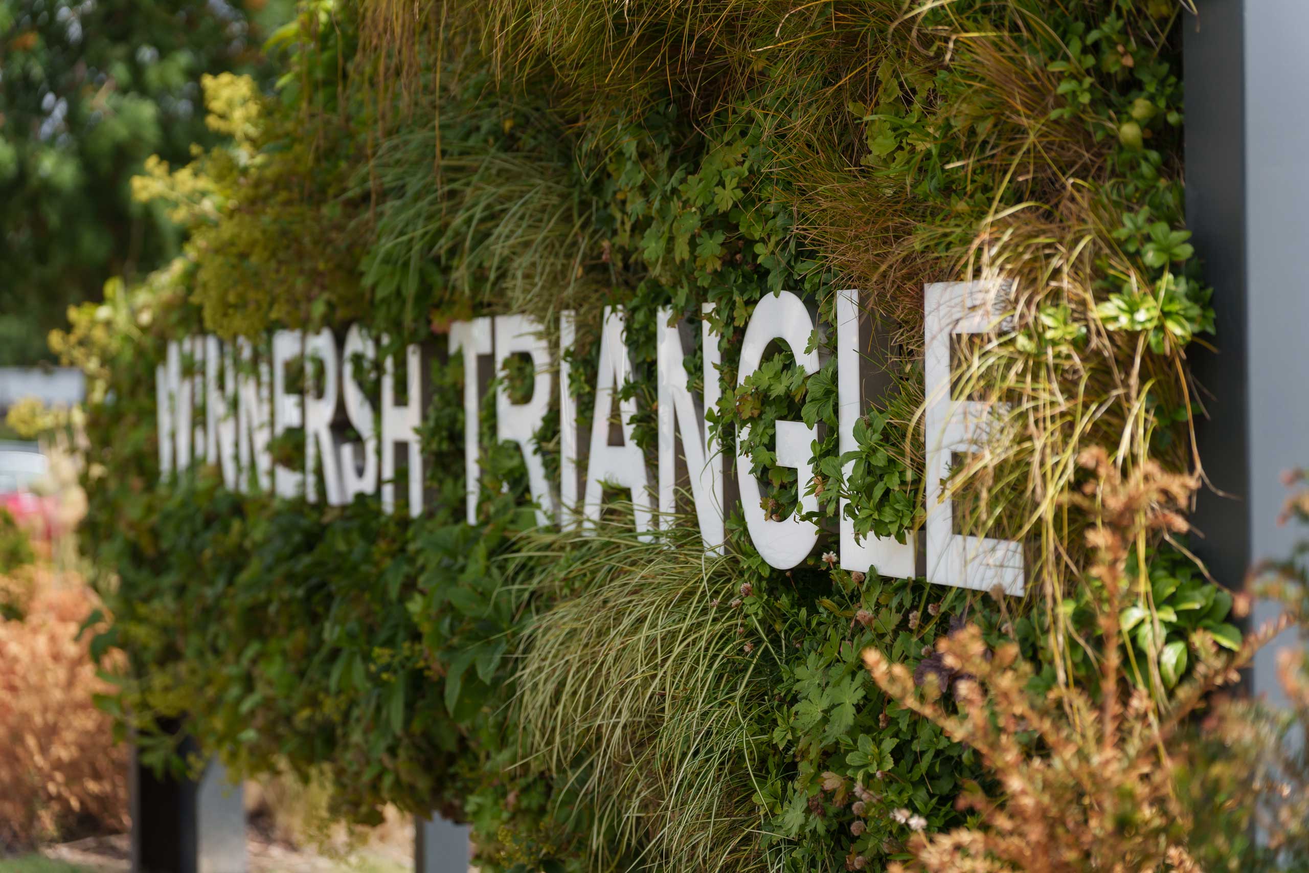 White letters spelling Winnersh Triangle mounted on a vertical wall covered with various green plants and foliage.